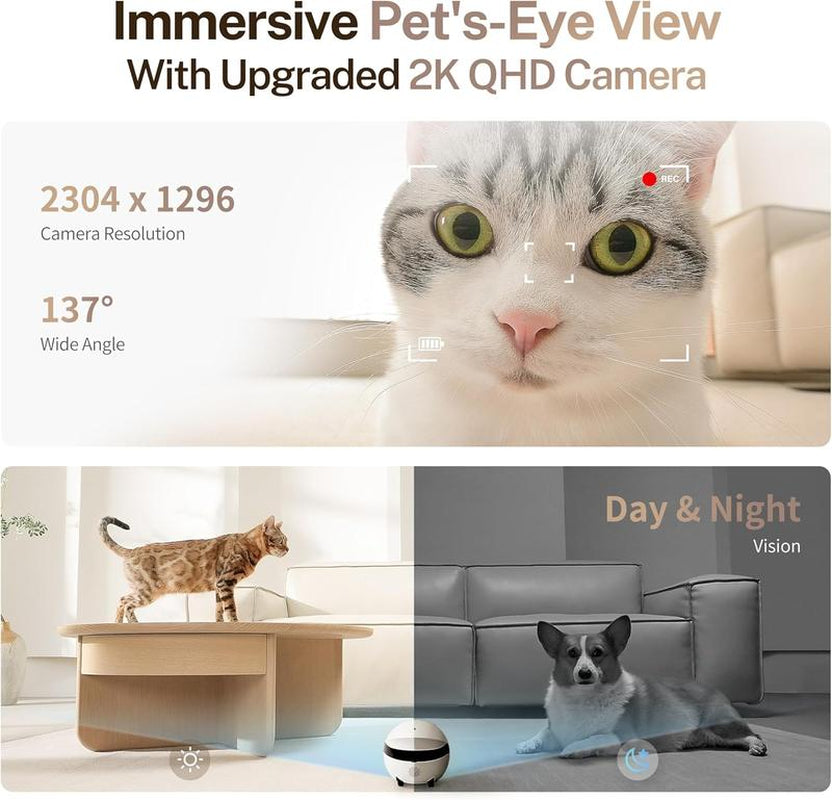 Discover the Enabot EBO 2K Camera Robot ROLA Mini: Your Ultimate Movable Pet Camera with Battery Power, Night Vision, and 2-Way Audio!