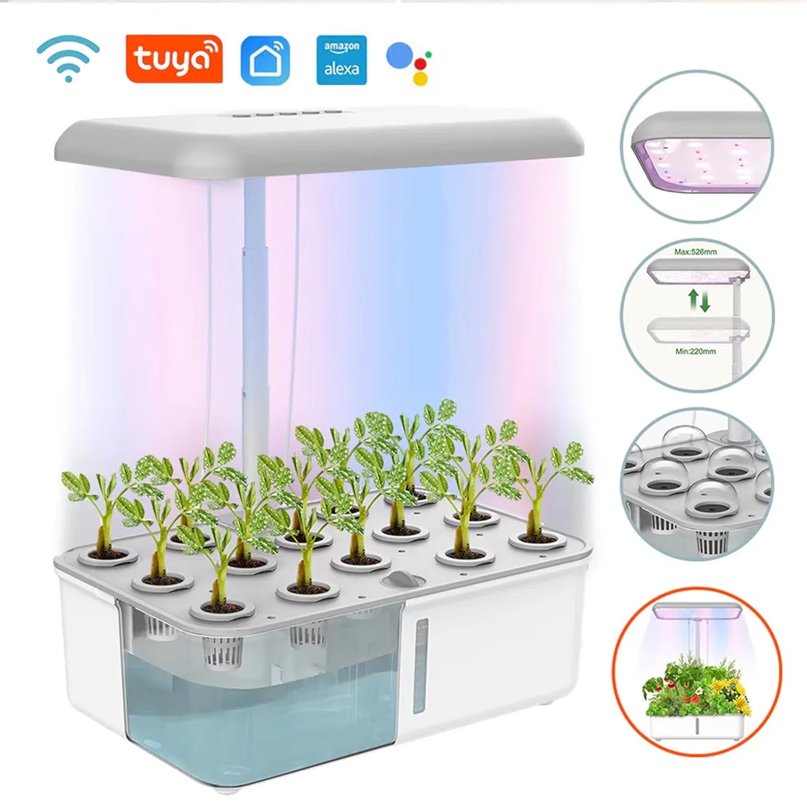 Tuya Smart Hydroponic Plant Growing System with LED Light and Self-Watering Features for Indoor Home Gardening