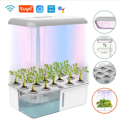 Tuya Smart Hydroponic Plant Growing System with LED Light and Self-Watering Features for Indoor Home Gardening