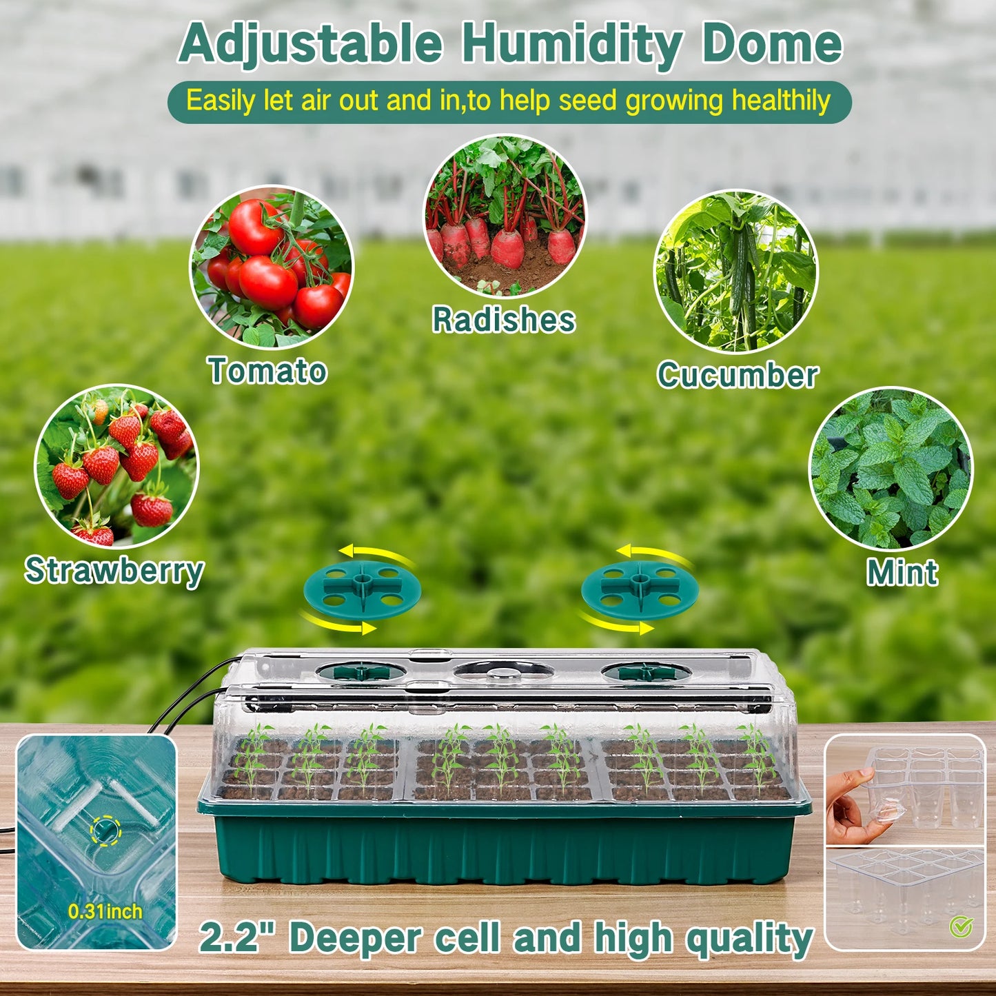 Professional Seed Starter Tray with Integrated Grow Light, 36-Cell Germination Kit, Humidity Dome, and Adjustable Three-Color Lighting System