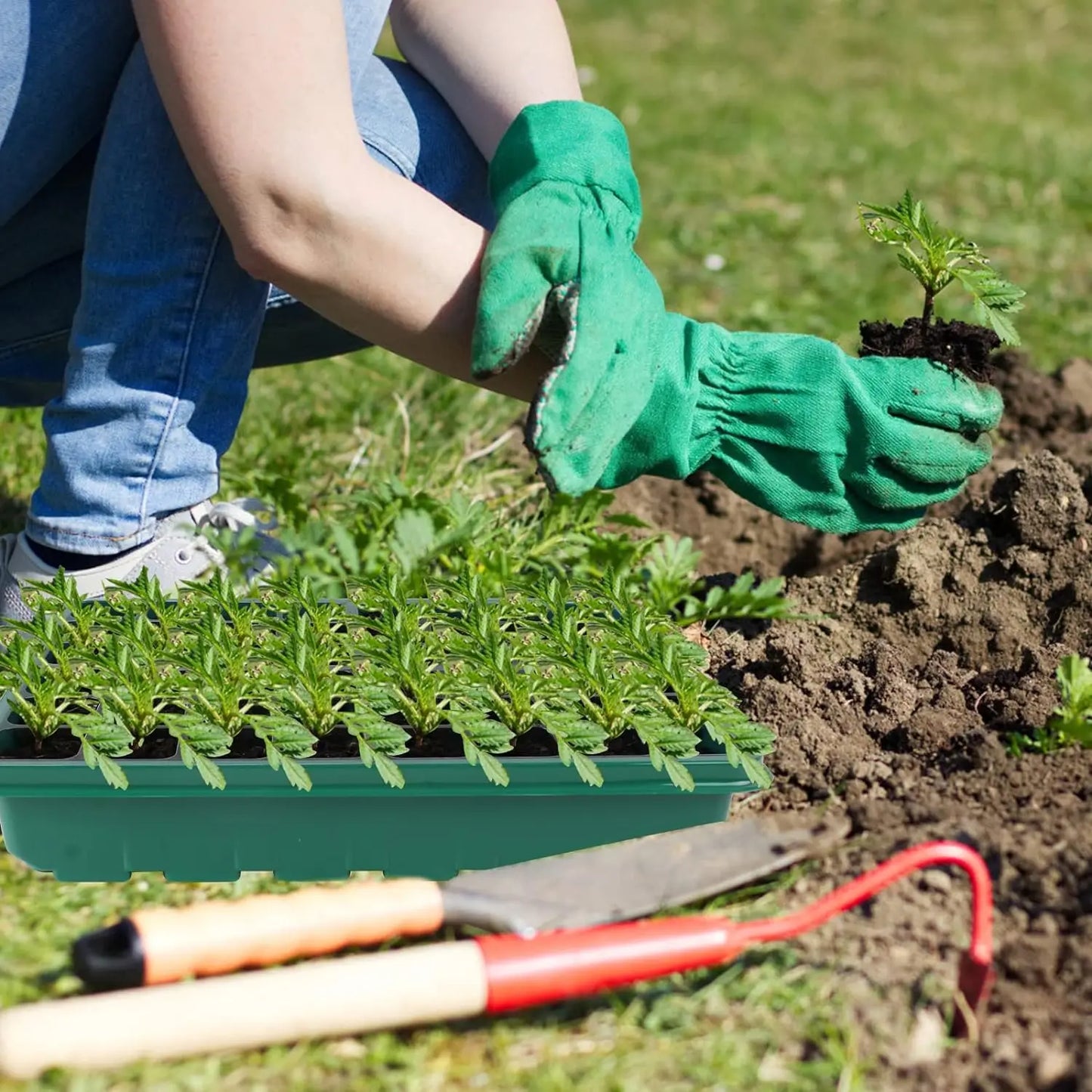 Professional Seed Starter Tray with Integrated Grow Light, 36-Cell Germination Kit, Humidity Dome, and Adjustable Three-Color Lighting System