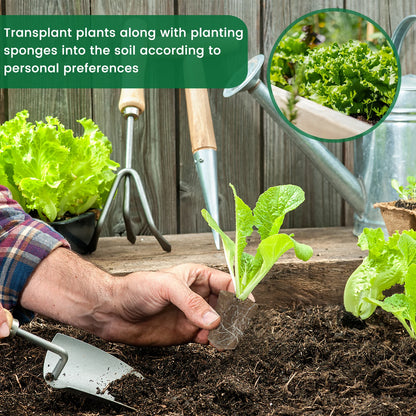 50-Pack Hydroponic Seed Grow Sponges for Root Development - Gardening Pods and Planting Accessories