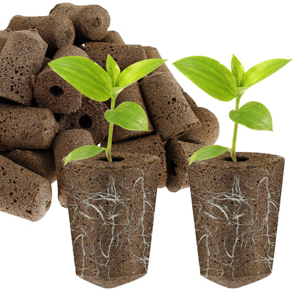 50-Pack Hydroponic Seed Grow Sponges for Root Development - Gardening Pods and Planting Accessories