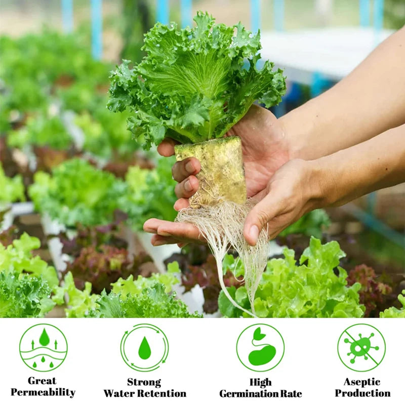 Hydroponic Growing Blocks for Vegetable Seed Germination - Stonewool Cultivation Substrate for Water-Based Seedling Growth