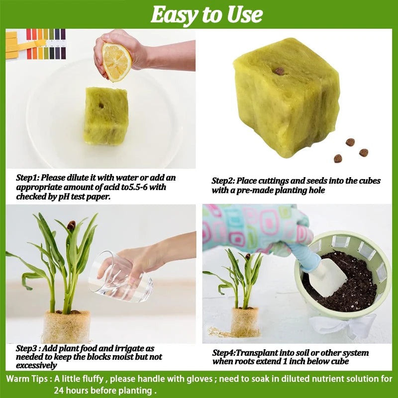Hydroponic Growing Blocks for Vegetable Seed Germination - Stonewool Cultivation Substrate for Water-Based Seedling Growth