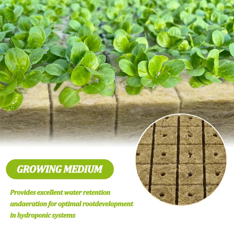 Hydroponic Growing Blocks for Vegetable Seed Germination - Stonewool Cultivation Substrate for Water-Based Seedling Growth