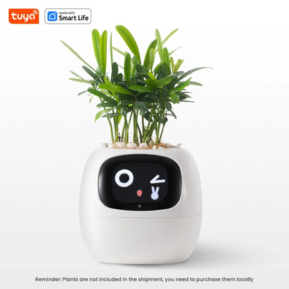 Smart Plant Pot AI Planter - Innovative Intelligent Garden System with App Integration | Ideal Holiday Gift for Plant Enthusiasts