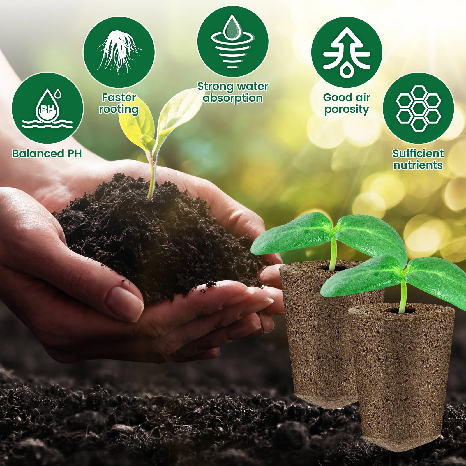 50-Pack Hydroponic Seed Grow Sponges for Root Development - Gardening Pods and Planting Accessories