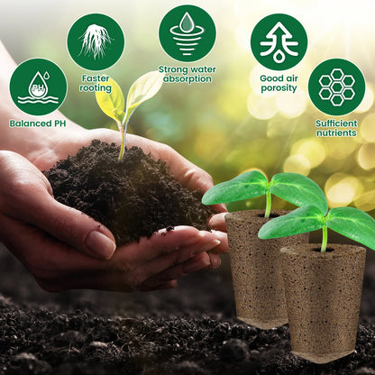 50-Pack Hydroponic Seed Grow Sponges for Root Development - Gardening Pods and Planting Accessories