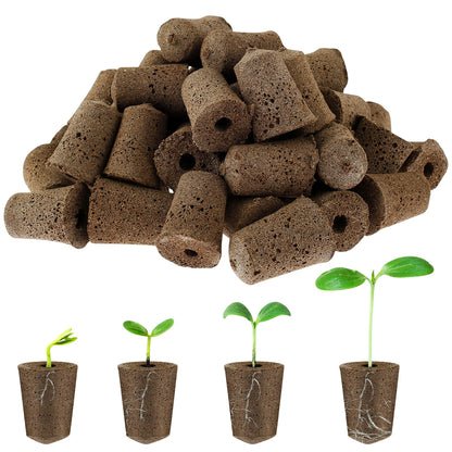 50-Pack Hydroponic Seed Grow Sponges for Root Development - Gardening Pods and Planting Accessories