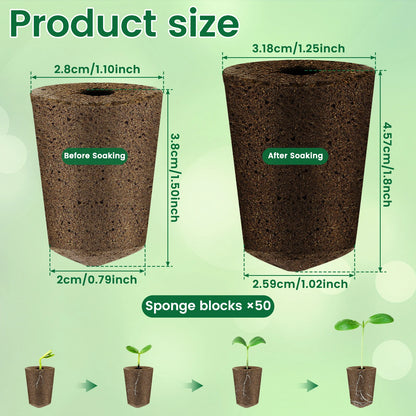 50-Pack Hydroponic Seed Grow Sponges for Root Development - Gardening Pods and Planting Accessories
