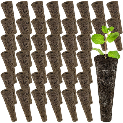 50-Pack Hydroponic Seed Grow Sponges for Root Development - Gardening Pods and Planting Accessories