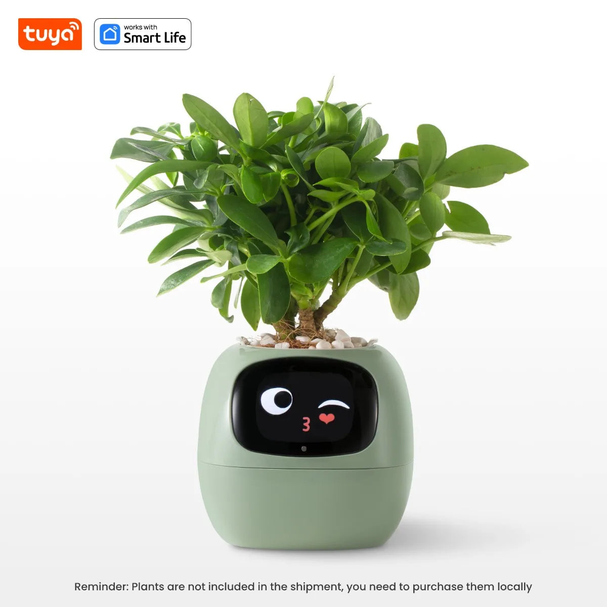 Smart Plant Pot AI Planter - Innovative Intelligent Garden System with App Integration | Ideal Holiday Gift for Plant Enthusiasts